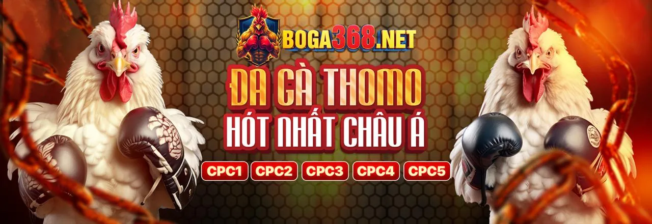 Các trò chơi phổ biến tại 79kinh link vào
